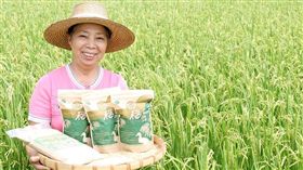 美食鳳味-稻鴨米