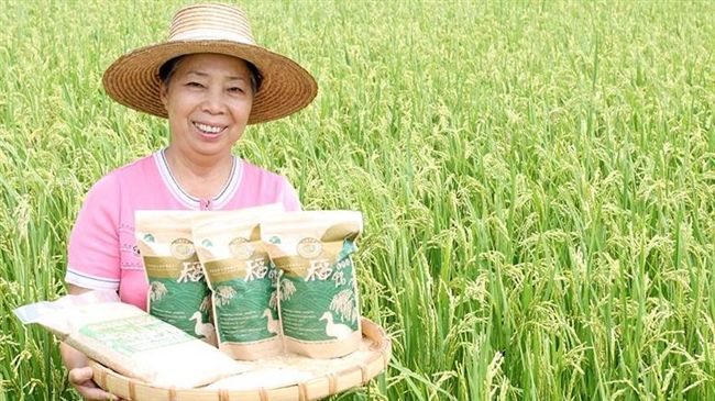 大師有撇步　阿嬤ㄟ手路菜秘訣大公開
