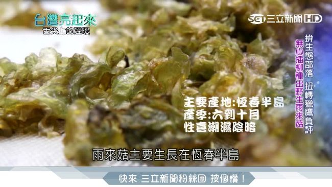 野菜帶動新經濟！雨來菇翻轉里德部落