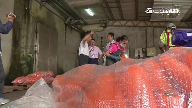 囤300公噸胡蘿蔔是菜蟲？盤商喊冤
