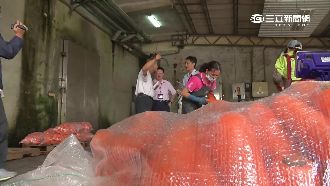 囤300公噸胡蘿蔔是菜蟲？盤商喊冤