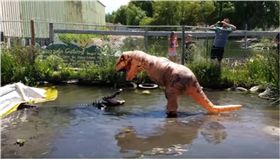 暴龍裝,恐龍,鱷魚,驚險  圖／翻攝自YouTube
