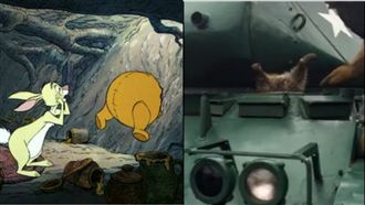 維尼是你？浣熊卡坦克車　猛踢超逗趣