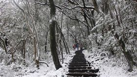 陽明山雪景（示意圖／攝影者Chi-Hung Lin, flickr CC License）
https://www.flickr.com/photos/92585929@N06/23972293963/in/photolist-CwmgPa-CwmiuK-CVf3kM-Drr2RW-D2Cznh-DjaQzA-CVfiv6-DtJUYD-DrrHpU-DtKCBZ-Dmtc8n-9UhPdB-9UhA18-9UhT5k-9UhSNt-9UkANw-9UhNMr-9UhJdi-9Ui6T6-9UkpGq-9UhJnP-9UkJef-9Ukr9L-9UkV4G-9UkoQG-9UhyWx-9UhYor-9Uib7x-9UhFQg-9UkxKq-9Ukp89-9UhYCr-9Ui9Ye-9Ui21a-9UkPg5-9UhBPx-9UktLU-9UkQz1-9UhAai-Dj5SAj-9UhKPn-DmxuG2-9UhCFK-9Ukpub-9Ui9i6-CwpyYK-CwhCF9-9UkpMo-9UhCAe-9Ukrvh