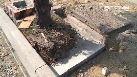 控市府虐樹g1200