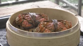 台陸大閘蟹大比拼　台量少重質高單價