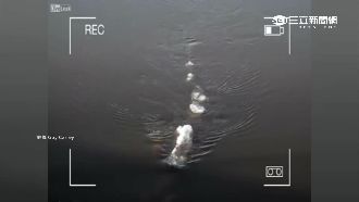 尼斯湖水怪搬家？不明生物現蹤美國