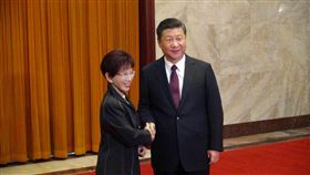 洪秀柱握手習近平(圖/中央社)