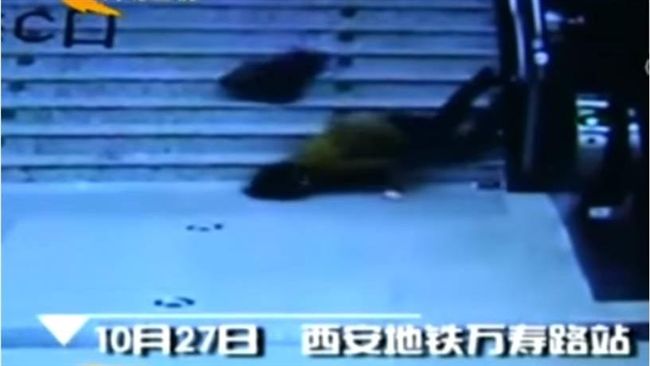 女子看手機太專注　一腳踩空樓梯慘摔