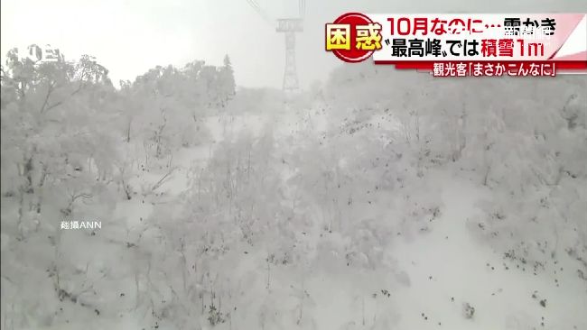 本世紀最強寒流襲擊　北海道積雪到腰