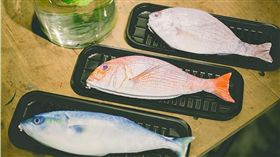 活魚錢包02（示意圖）
https://tw.mall.yahoo.com/item/PLANET%E3%80%900819%E3%80%91%E7%94%9F%E9%AE%AE%E6%BC%81%E8%B2%A8%E9%AE%AE%E9%AD%9A%E4%B8%80%E6%A2%9D%E5%AF%AB%E5%AF%A6%E7%AD%86%E8%A2%8B%E9%9B%B6%E9%8C%A2%E5%8C%85-%E4%B8%89%E8%89%B2-p0325112686770