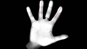 手指,長度,運動,焦慮,方向感,空間感,嬰兒,睪酮,研究,無名指,食指(http://sciencenordic.com/show-your-fingers-neuroscientist)