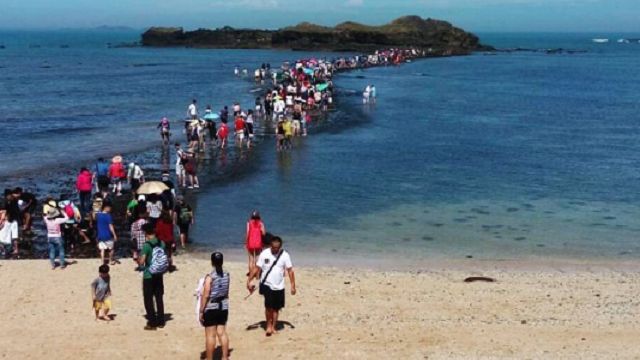 生態遭破壞！澎湖「摩西分海」將消失