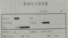 陸軍花東防衛部第二支援指揮部補給油料庫泵輸油料分庫初鹿泵站傳虐狗，花防部澄清死亡證明。（圖／花防部提供）