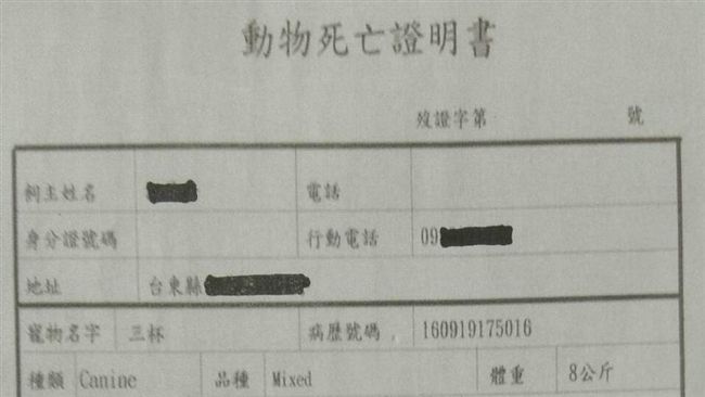 國軍遭爆虐狗　陸軍澄清：應是中毒