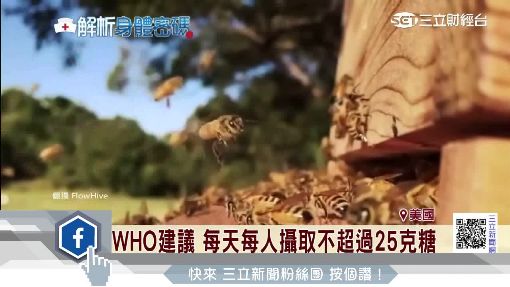 "半斷糖飲食"正夯 吃糖易胖改食蜂蜜佳