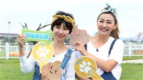 李維維加入「寵物大聯萌」主持人邵庭送上歡迎禮「撿便袋」。（記者邱榮吉/攝影）