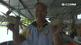 議員槓上養殖戶　爭南庄大閘蟹招牌