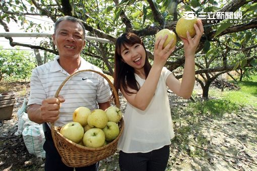 ITF/台灣怎麼玩?跟著四季水果甜蜜旅行吧!
