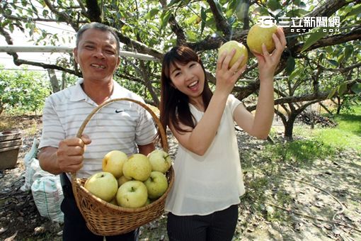 ITF／台灣怎麼玩？跟著四季水果甜蜜旅行吧！　