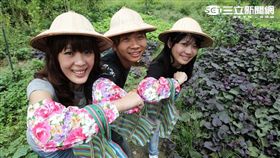 ITF／台灣怎麼玩？跟著四季水果甜蜜旅行吧！　