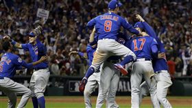 小熊奪世界大賽冠軍（ap）