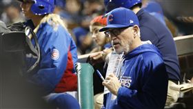 小熊隊總教練喬梅登（圖／美聯社／達志影像）