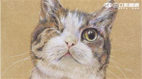 癌友林函諭參與第六屆「彩繪希望」繪畫比賽，以<殘缺的小萌貓>作品榮獲第三名的好成績。（圖／癌症希望基金會）