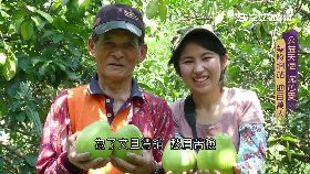 天使沈芯菱(真英雄)