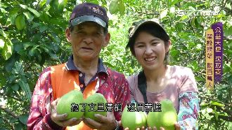 公益天使沈芯菱　收入百萬全捐出行善