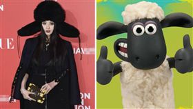 圖翻攝自微博 范冰冰 笑笑羊臉書