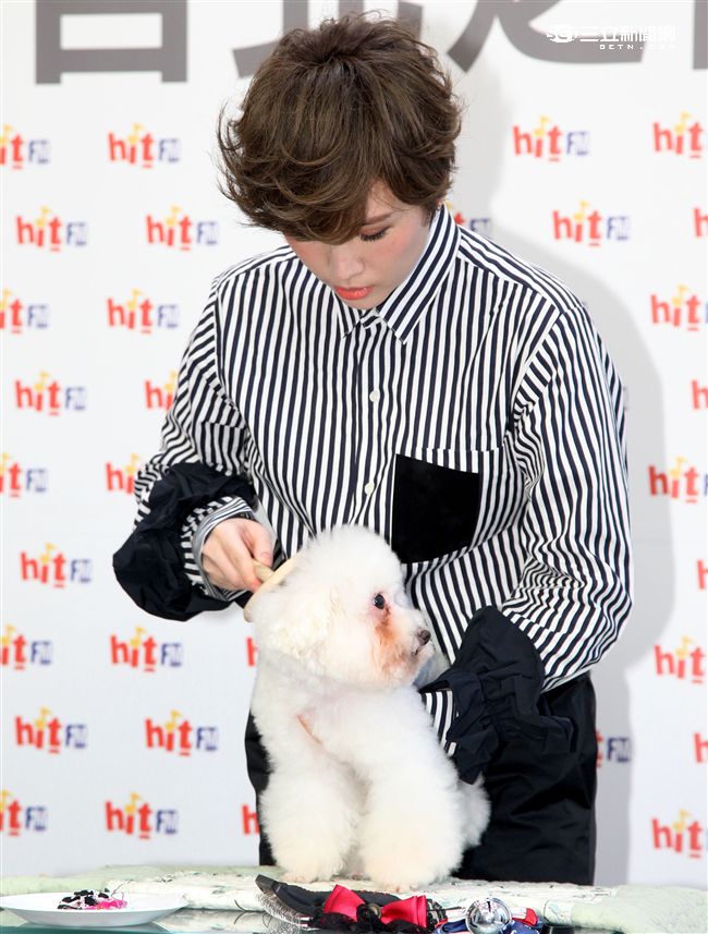 魏如萱出席「毛起來愛」流浪動物認養活動。（記者邱榮吉/攝影）