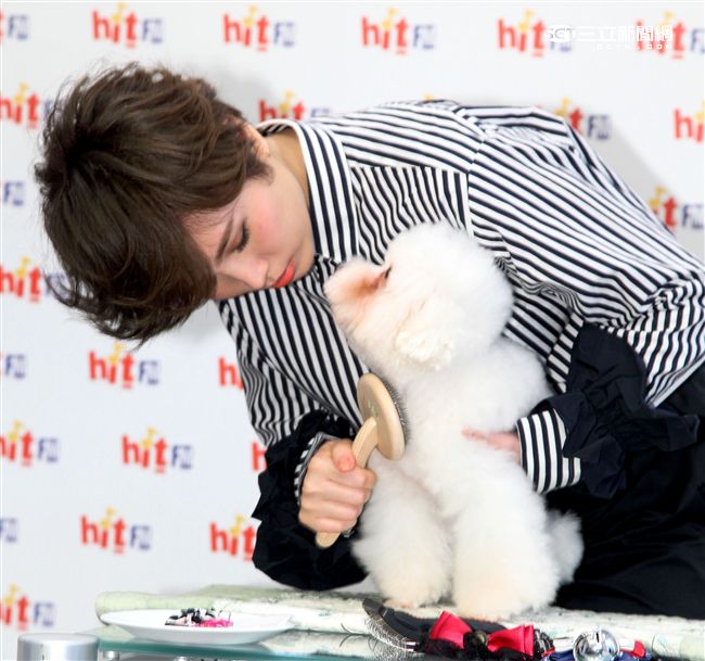 魏如萱出席「毛起來愛」流浪動物認養活動。（記者邱榮吉/攝影）