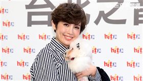 魏如萱出席「毛起來愛」流浪動物認養活動。（記者邱榮吉/攝影）