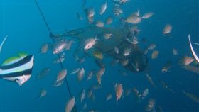 海底寶特瓶多到爆　他號召潛友下海撿（圖／翻攝自林祐平臉書）