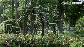 -大安森林公園-LED新招牌 挨批