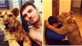 俄羅斯,摔角手,母獅子　圖／翻攝自太陽報