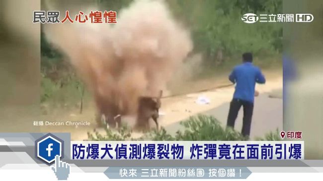 印度炸彈攻擊橫行　防爆犬也遭炸傷