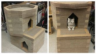 讓主子住豪宅　貓奴自製「貓城堡」