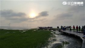 高美濕地,風景
圖／記者張碧珊攝影