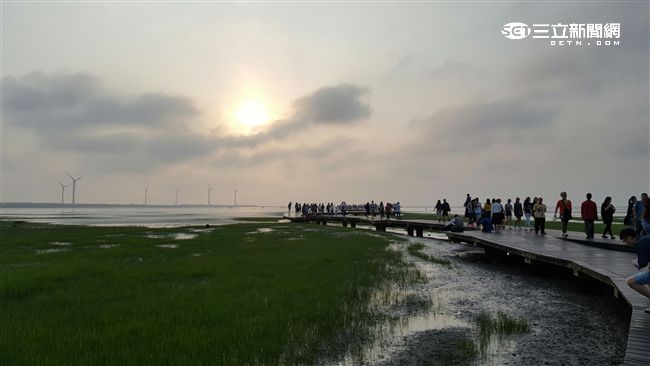 遊客注意！高美濕地木棧道將封閉7天