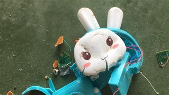 「台灣是中國最大島」　網友砸爛玩具