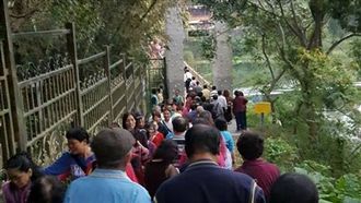 吊橋承載限50人　旅行社竟帶百人過