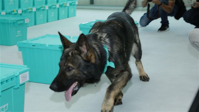 迷你倉藏危機？搜查犬揪「違禁品」