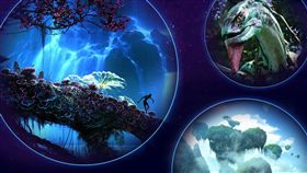 阿凡達特展　圖／野獸國提供