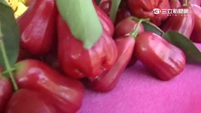 高溫颱風亂時序　 棗子蓮霧產量銳減