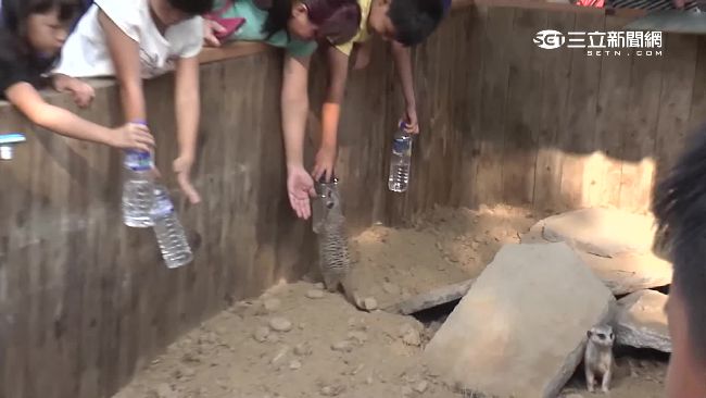 遊客亂摸動物、破壞環境　主人怒封園