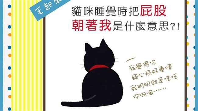 貓咪總用屁屁對著飼主　原因超有愛