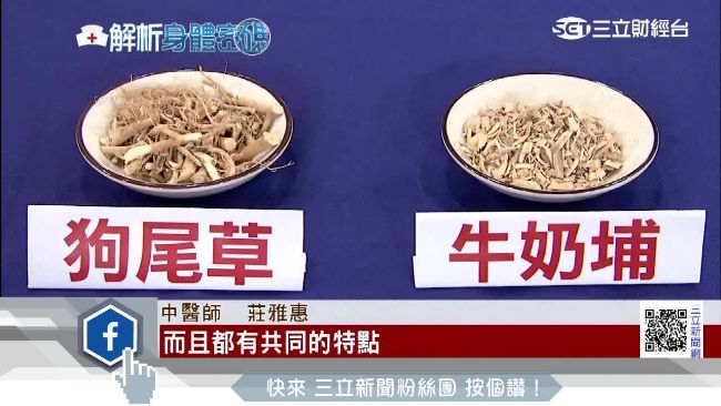 燉補這2種「藥草界鑽石」強健又筋骨