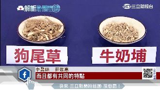 燉補這2種「藥草界鑽石」強健又筋骨